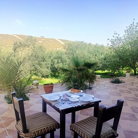 Farmer Stay Hostel Wadi Musa Exteriér fotografie